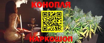 шишки Краснодар