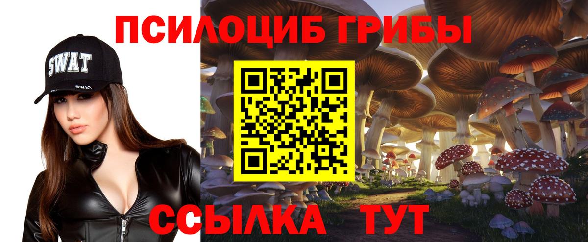 Псилоцибиновые грибы мицелий  Вход с VPN  Коммунар 